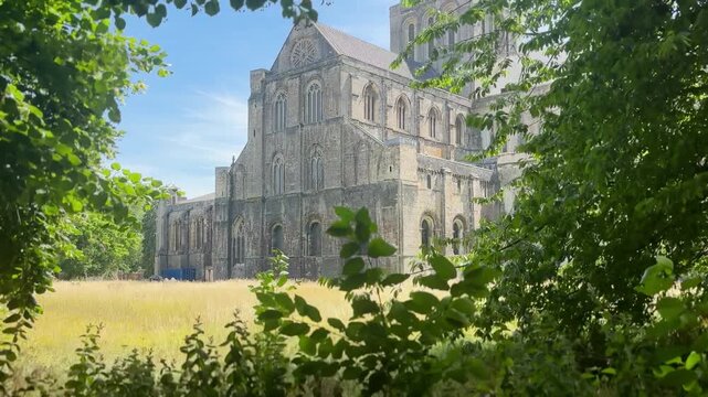 Winchester Cathedral framed by leafy trees and meadow showcasing historic Gothic architecture beneath clear blue sky during daytime in Winchester, England, United Kingdom