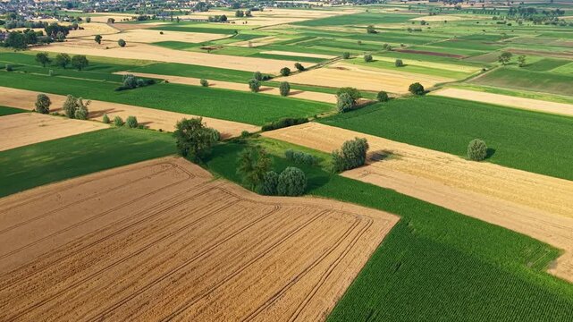 Drone view of patchwork pattern of green and golden farm fields with scattered trees in rural France. Aerial view
