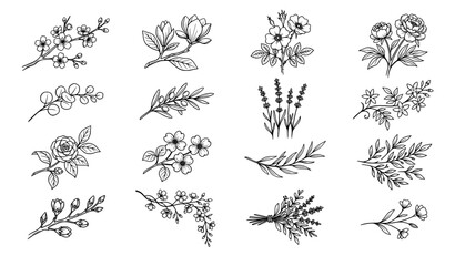 Fototapeta premium Hand Drawn Botanical Branch and Flower Vector Set with Floral Stems Leaves and Elegant Nature Design Elements
