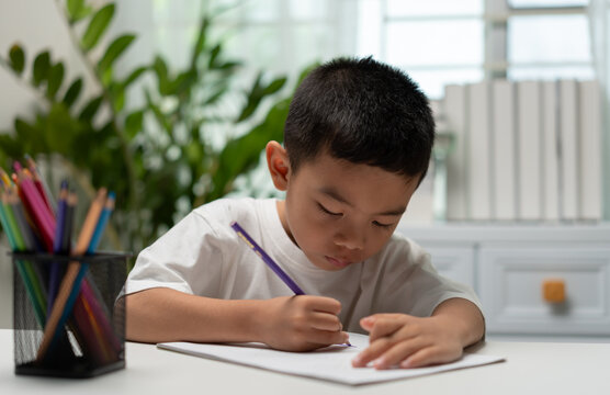 Focused young child writing with a pencil on paper at home, representing early learning, literacy development, concentration, education, fine motor skills, homeschooling, and childhood growth.