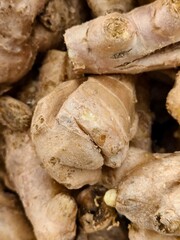 Fototapeta premium Close up of fresh ginger roots in market with ingredient culinary aromatic nutrition vegetable
