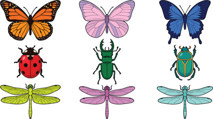 Insects and bugs vector illustration set featuring colorful butterflies ladybug stag beetle scarab and dragonflies isolated on background © Zharna
