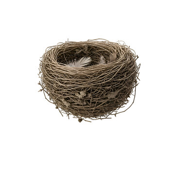 Natural empty bird nest made of dry twigs with small white feathers inside over transparent background