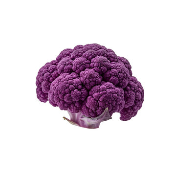 Vibrant fresh organic purple cauliflower head isolated on a solid transparent background, healthy vegan food