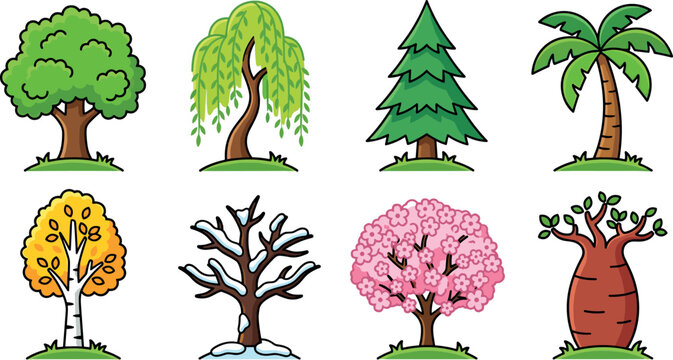 Cute Cartoon Tree Vector Illustration Set Featuring Oak Weeping Willow Pine Palm Birch Winter Snow Cherry Blossom and Baobab Botanical Species