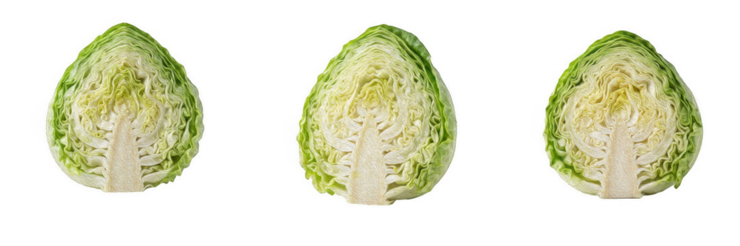 Fresh Halved Pointed Cabbage Set, Cut Sweet Hispi Cabbage Cross Section Isolated on White Background PNG Clipart for Healthy Cooking Graphic Design, Recipe Book Layout, Grocery Banner, Food Packaging,