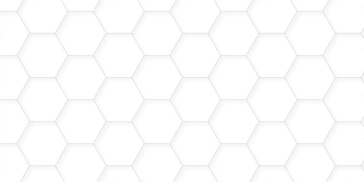 Vector abstract minimal white grid metal hexagon background. Embossed Hexagon, honeycomb white mosaic cell web light shadow texture wall decoration wallpaper design.	
