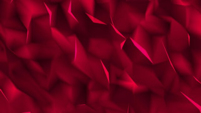 Minimal Geometric Polygon Mesh Animation