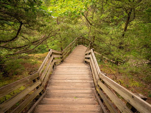 Wooden stairs and boardwalk descending through a lush green forest canyon at Starved Rock State Park in Illinois