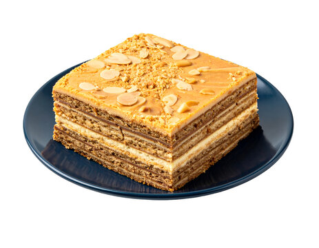 Lapis Legit, Thousand-layer cake on plate. isolated on transparent png