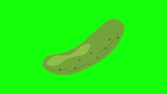 Green cucumber icon sign, isolated vegetable on green screen. Animated fresh healthy raw food cartoon. Advertisement, illustration idea, organic and natural diet symbol. Element for video.