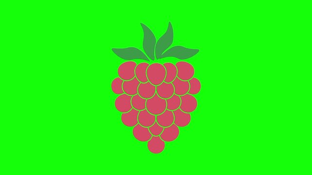 Lychee fruit icon sign, isolated red fruits on green screen. Animated fresh healthy raw food cartoon. Advertisement, illustration idea, organic and natural diet symbol. Element for video.