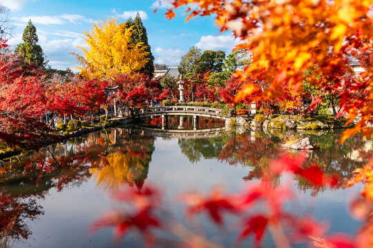 Vibrant red and yellow autumn leaves in a traditional Zen garden with a peaceful lake reflection at Eikando Temple in Kyoto, Japan