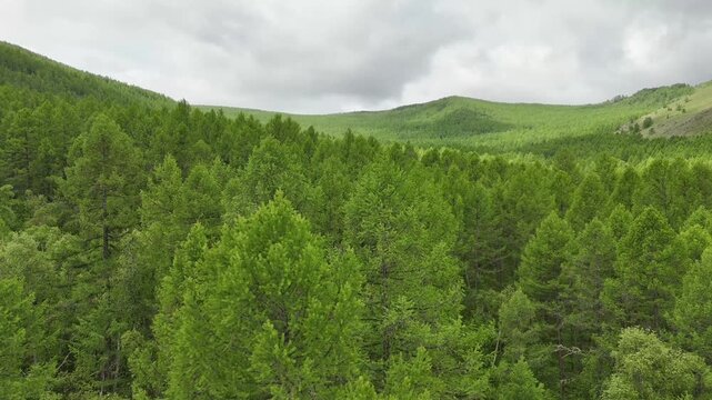 테를지, 국립공원, 몽골, 대자연, 숲, 풍경, 산, 나무, Terelj, Mongolia, Great Outdoors, Forest, Landscape, Mountains