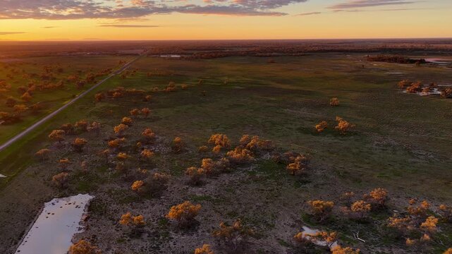 Aerial video flying over the Pilliga landscape at sunset in NSW, Australia. Warm golden light illuminates the expansive bushland and rural landscape