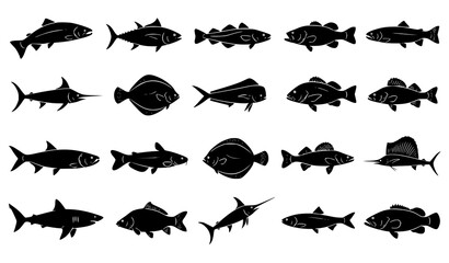 Obraz premium Set of Fish Silhouettes Fishing Theme Vector Illustration Collection