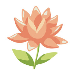 Fototapeta premium Peach Lotus Flower Illustration