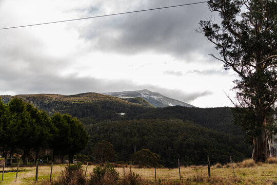 snow covered tasmanian mountains surrounded by native australian vegetation