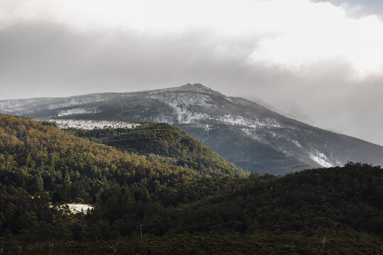 snow covered tasmanian mountains surrounded by native australian vegetation