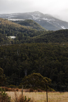 snow covered tasmanian mountains surrounded by native australian vegetation