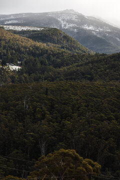 snow covered tasmanian mountains surrounded by native australian vegetation