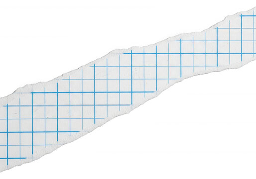 Long strip of torn graph paper with blue grid lines isolated on transparent background for mathematical projects