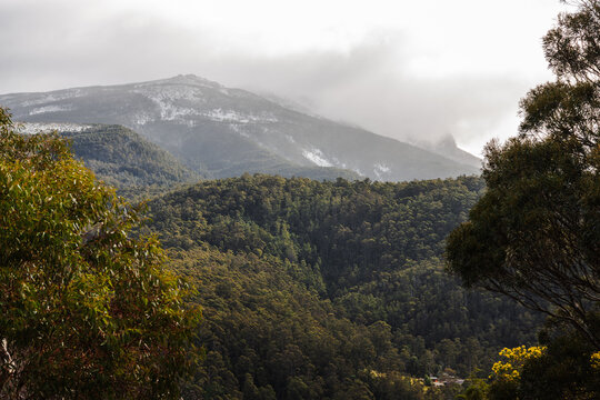 snow covered tasmanian mountains surrounded by native australian vegetation