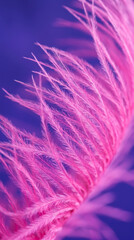 Obraz premium Soft Pink Feathered Grass Blossoms Against Vibrant Purple Sky Background Natural Beauty
