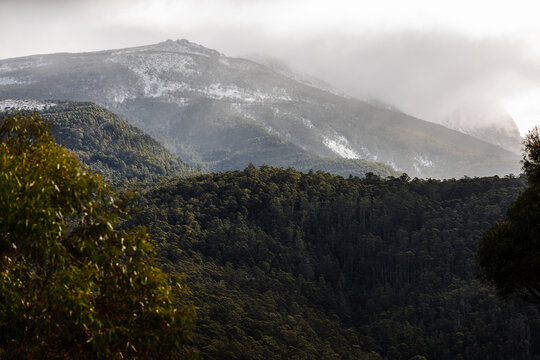 snow covered tasmanian mountains surrounded by native australian vegetation