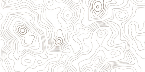 Abstract topographical map contour lines vector graphic pattern with topography abstract geographic elevation cartography minimalist background landscape © MD