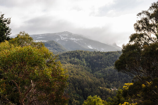 snow covered tasmanian mountains surrounded by native australian vegetation