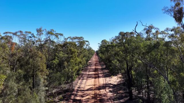 Aerial video following a long straight dirt road stretching through dense native bushland towards the distant horizon. The overhead perspective highlights the scale