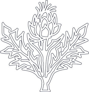 Artichoke Plant Icon, Fresh Globe Artichoke Outline, Cardoon Organic Garden Vegetable Vector Illustration