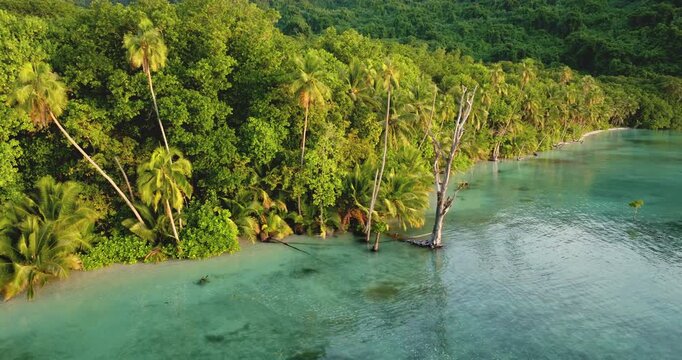 Tegua island shoreline lush tropical rainforest meeting pristine turquoise water, palm trees lining a secluded beach and a calm ocean perfect for relaxation. Torres Islands, Vanuatu. Tropical paradise