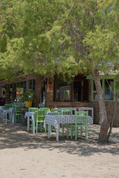 Seating area under trees near a weathered building beside sandy ground