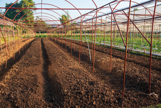 Black soil furrow eco green farm biotechnology sustainable quality control. Black soil check quality control plant tree. Smart Farmer eco Farmland biotechnology. Plowing dirt soil sample agriculture