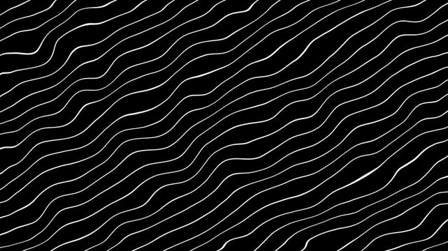Flowing Lines - Loopable Abstract Background Animation - Waves,  Seamless loop motion. Futuristic technology, Topographic lines on white background wavy contour map wavy lines