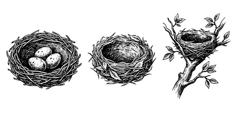Obraz premium Hand drawn bird nests collection in rustic engraving style with engraving