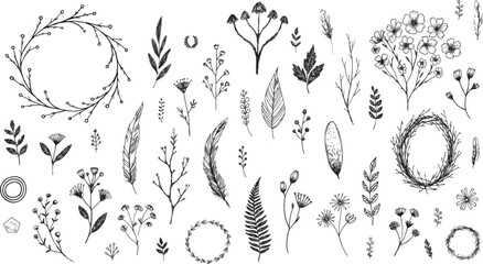 Botanical elements with floral and feather motifs in a delicate sketch style for organic design © RED BEIGE