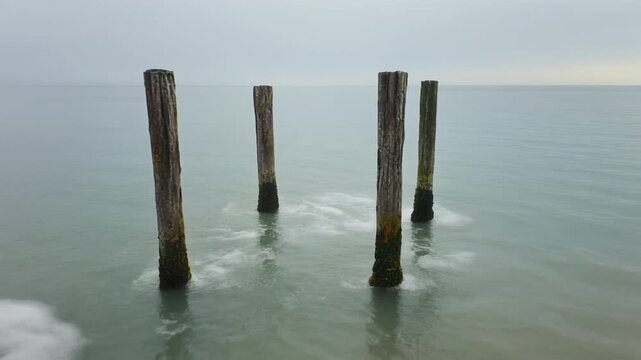 Weathered timber pilings in calm coastal water for corporate ESG reports, environmental research, and website hero backgrounds.