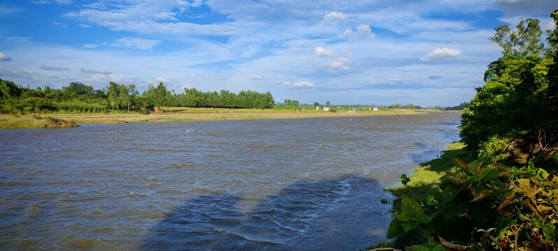 river in the forest