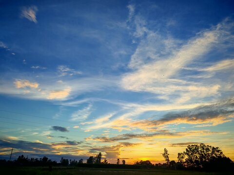 sunset over the field