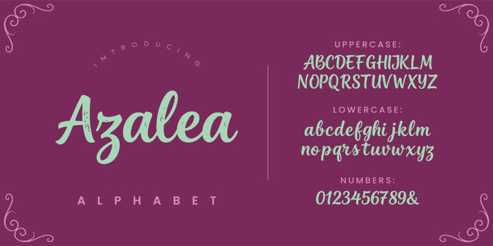 Azalea floral elegant smooth script calligraphy alphabet font for romantic wedding invitation and greeting card