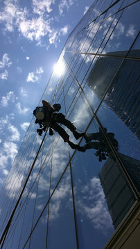 Professional Skyscraper Maintenance: Window Cleaning Workers Tethered at Heights on Tall Urban Buildings