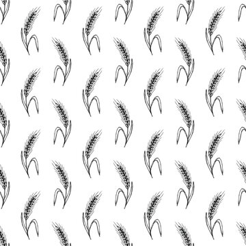 Seamless pattern with hand drawn cereal wheat oat rye barley rice ears spikelet Organic healthy food For decorative print, fabric, package, background