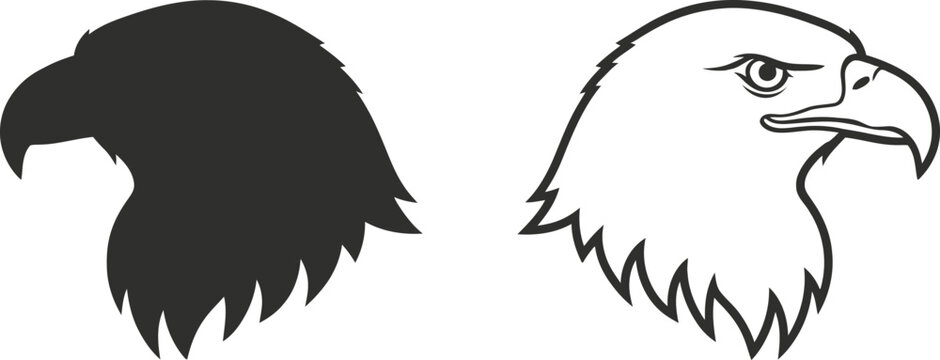 Eagle Head Illustration with Two Different Styles Featuring Vector, Graphic, Design with Isolated