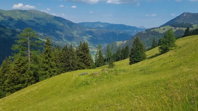 Picturesque alpine scenery in Lenk, Bernese Oberland, Switzerland. Lush summer meadows, vibrant greenery, and a clear blue sky surround an authentic Swiss mountain landscape full of natural beauty