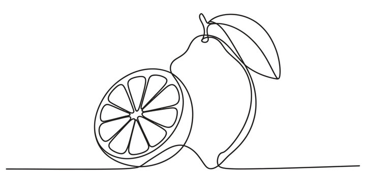 Continuous single line drawing of a fresh lemon fruit with a slice