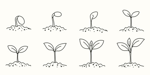 Obraz premium Minimal Seedling Growth Stages Line Icons – Plant Root Development, Sprout Lifecycle Vector Illustration, Eco Nature Outline Set