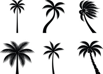 Fototapeta premium Palm Tree Silhouette Collection Set with Tropical Coconut Trees and Island Landscape Elements